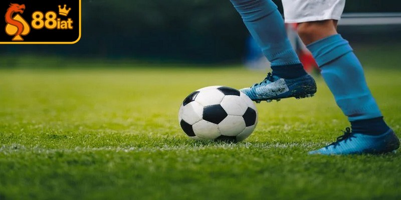 Cách chơi cá cược thể thao hiệu quả đóng vai trò rất quan trọng